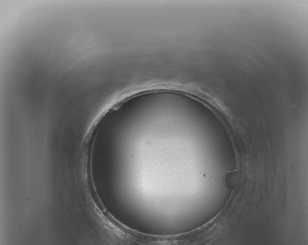 X0000060261504200511041335