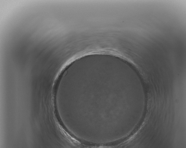 X0000060261506200511041336