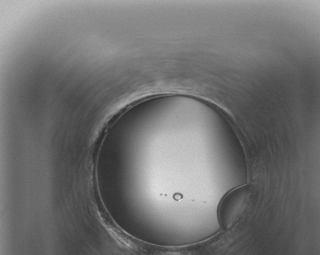 X0000060261507200511041336