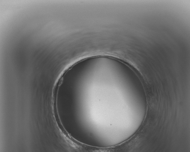 X0000060261508200511041336