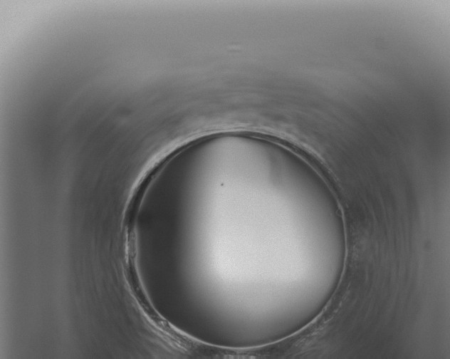 X0000060261509200511041336