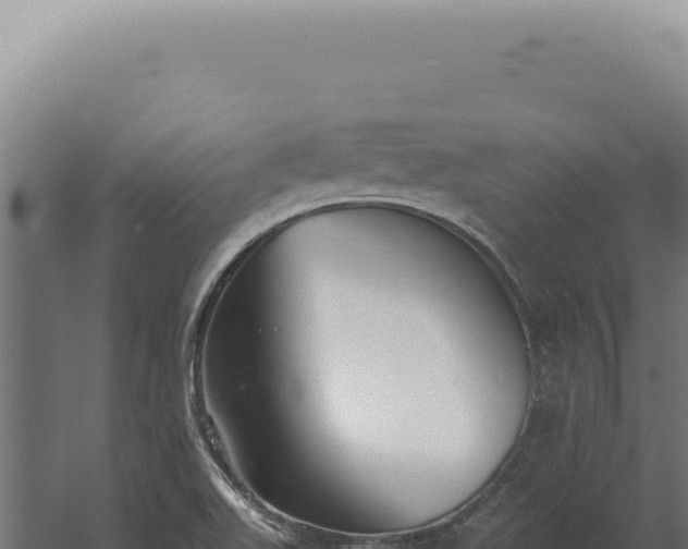 X0000060261511200511041336