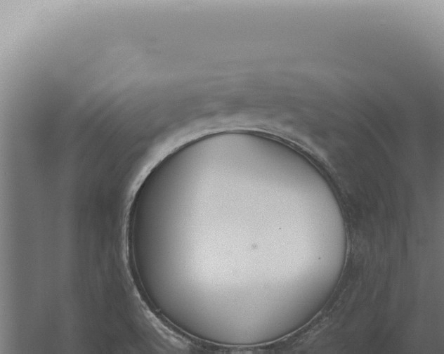 X0000060261512200511041336