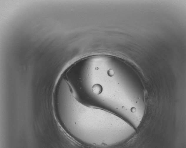 X0000060261514200511041336