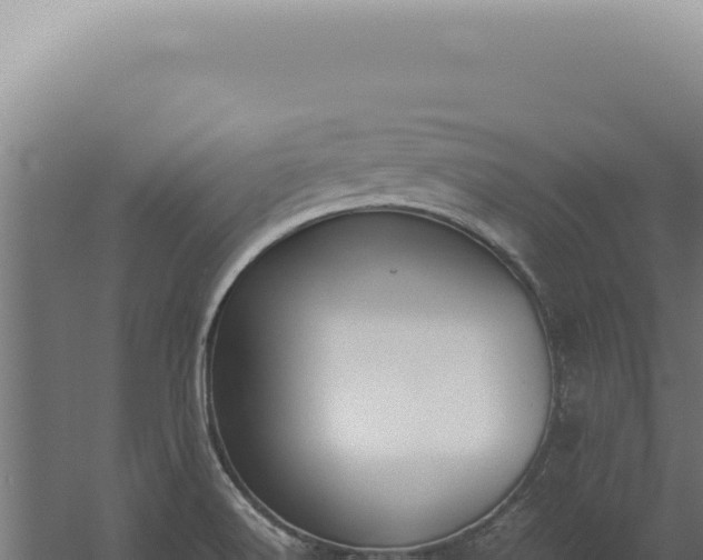 X0000060261516200511041336