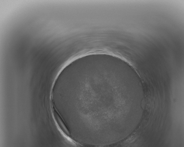 X0000060261519200511041336