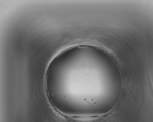 X0000060261520200511041336