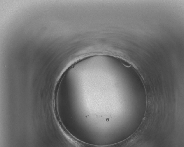 X0000060261523200511041336