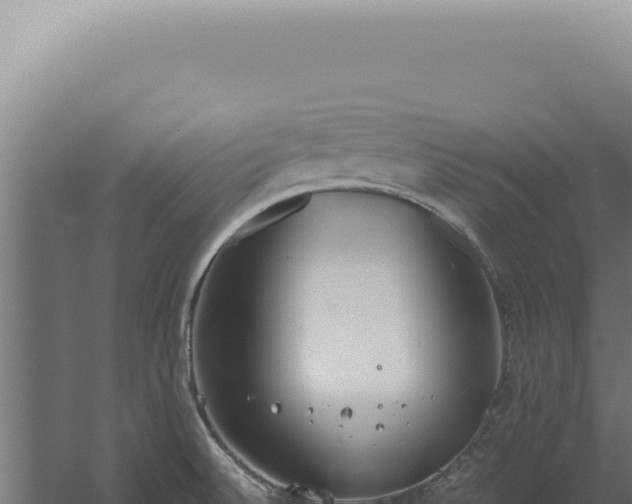 X0000060261524200511041336