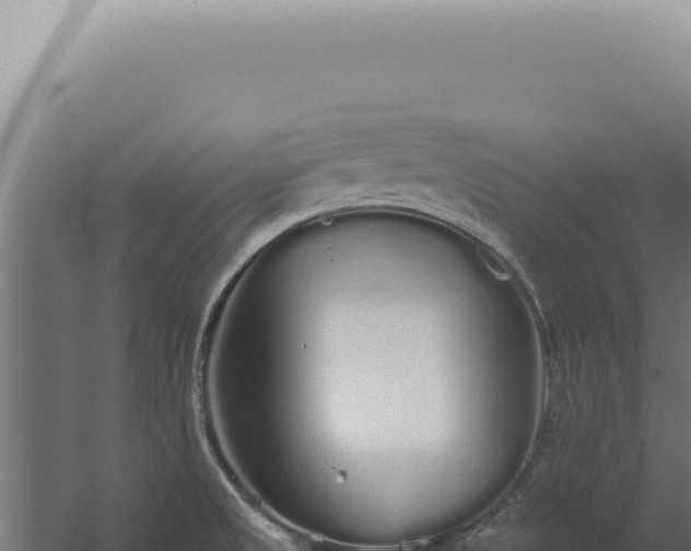 X0000060261525200511041336