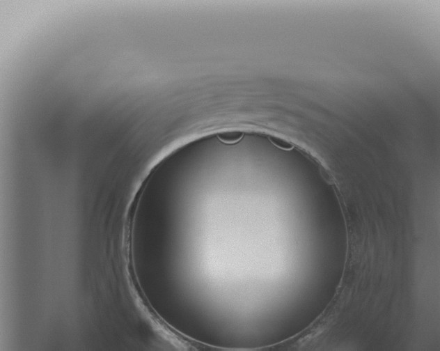 X0000060261526200511041336