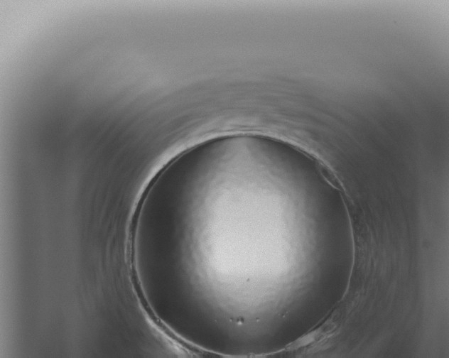 X0000060261527200511041336