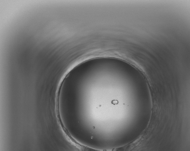 X0000060261528200511041336