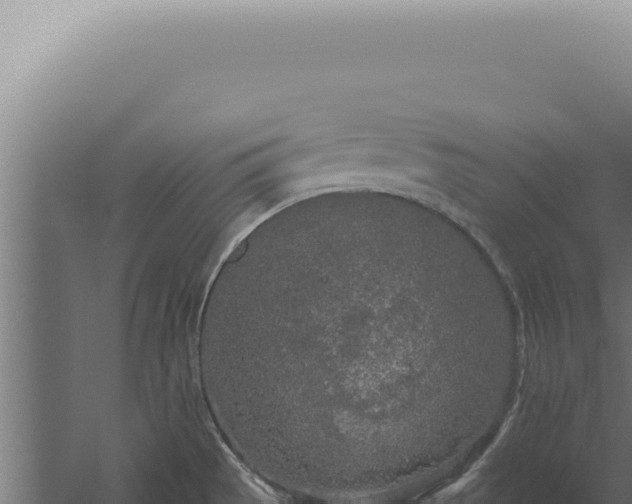 X0000060261529200511041336