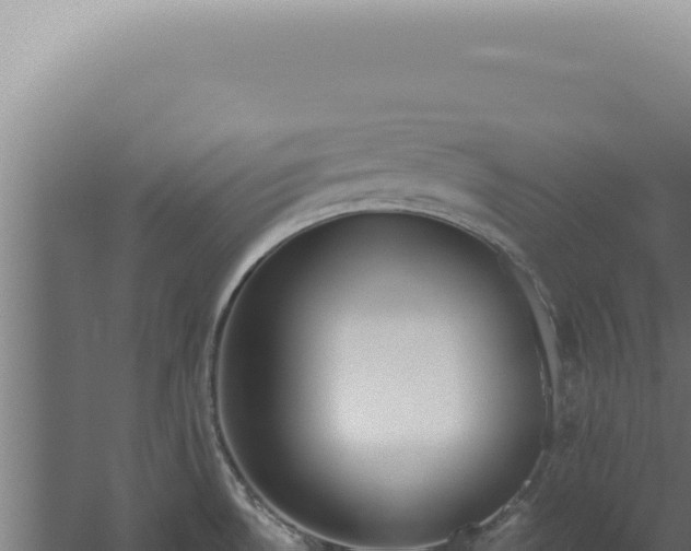 X0000060261530200511041336