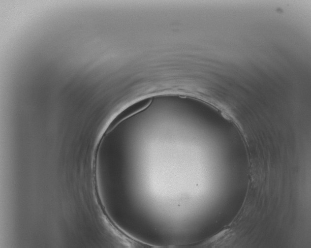 X0000060261532200511041336