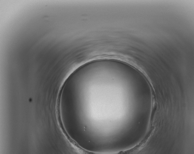 X0000060261533200511041336