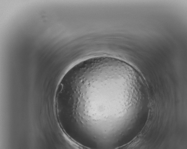 X0000060261535200511041336