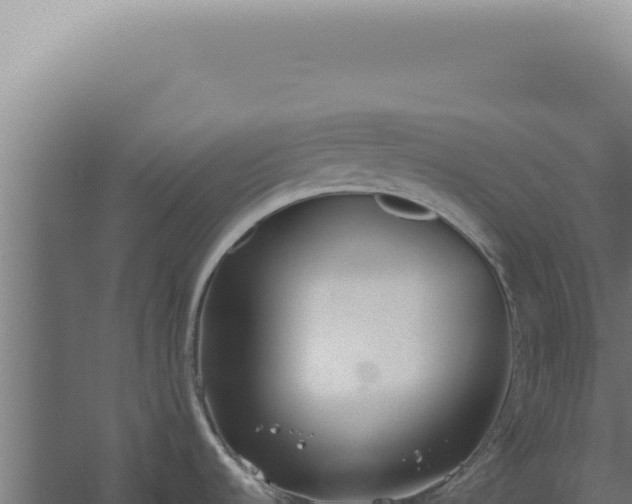 X0000060261536200511041336