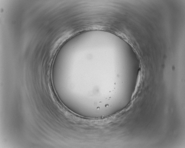 X0000060260001200511112033