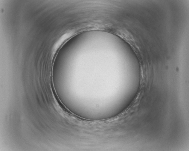 X0000060260003200511112033