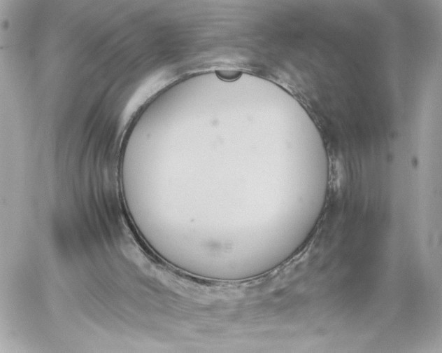 X0000060260004200511112033