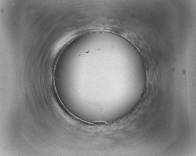 X0000060260005200511112033