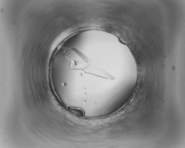 X0000060260006200511112033