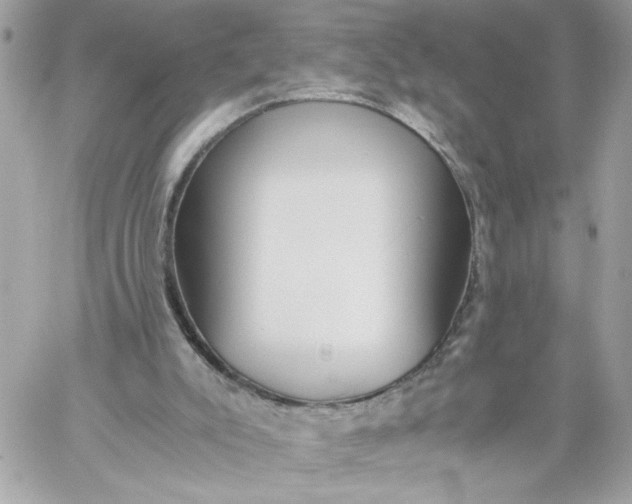 X0000060260007200511112033