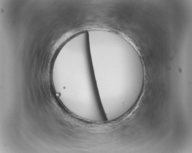 X0000060260008200511112033