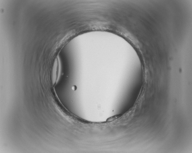 X0000060260009200511112033