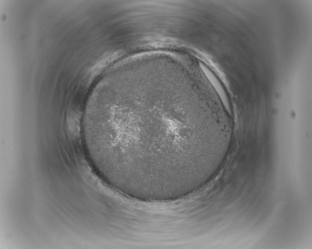 X0000060260010200511112033