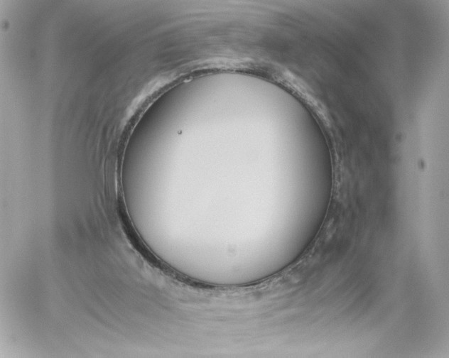 X0000060260011200511112033