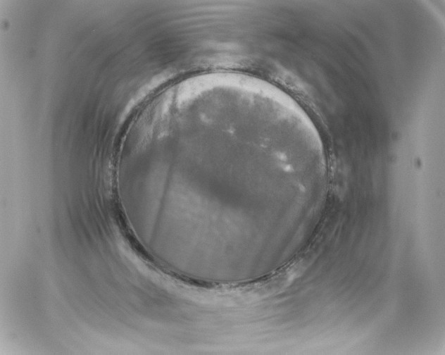 X0000060260012200511112033