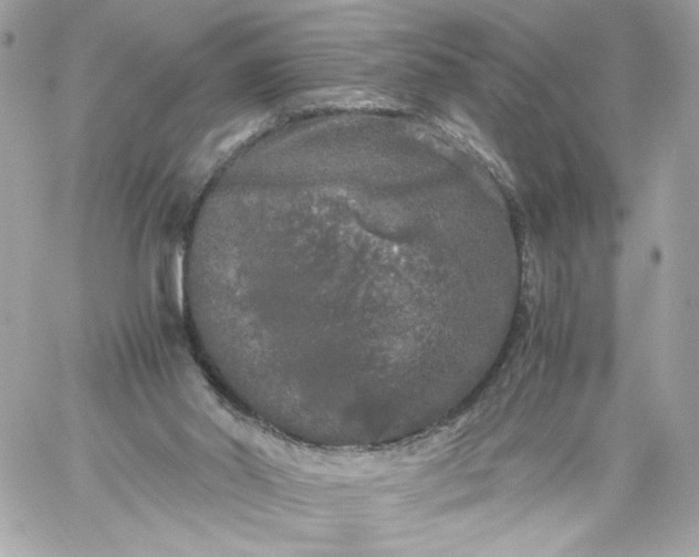 X0000060260014200511112033