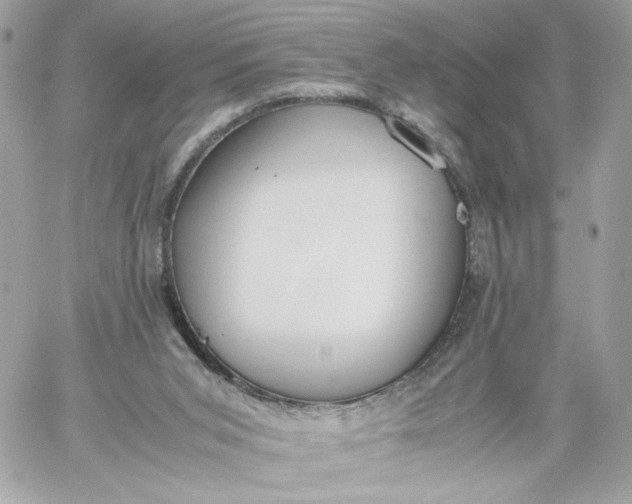 X0000060260015200511112033