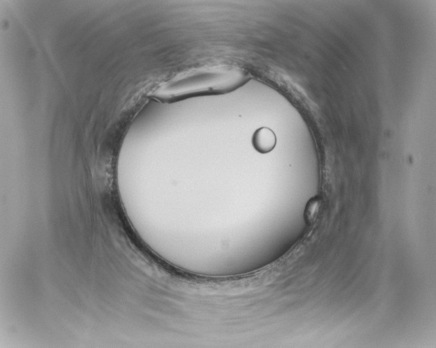 X0000060260017200511112033