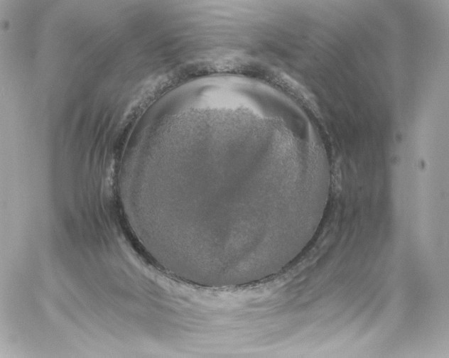 X0000060260018200511112033