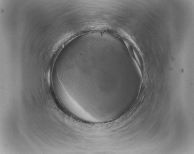 X0000060260019200511112033