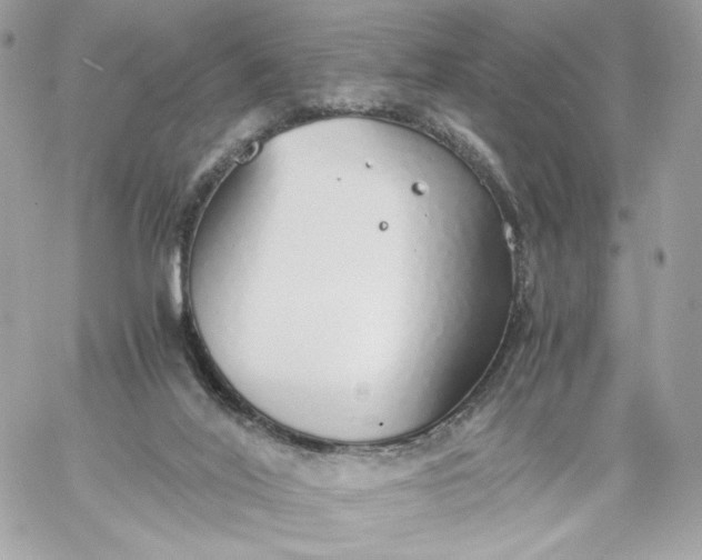 X0000060260020200511112033