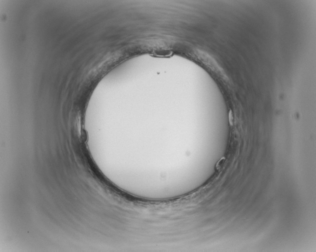 X0000060260021200511112033