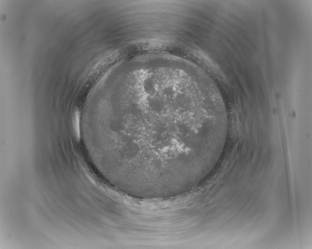 X0000060260022200511112033