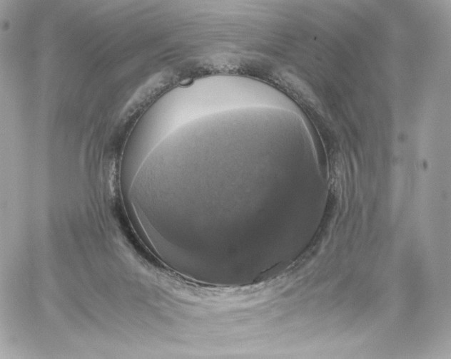 X0000060260023200511112033