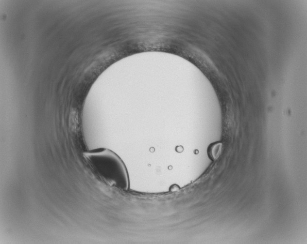 X0000060260025200511112033