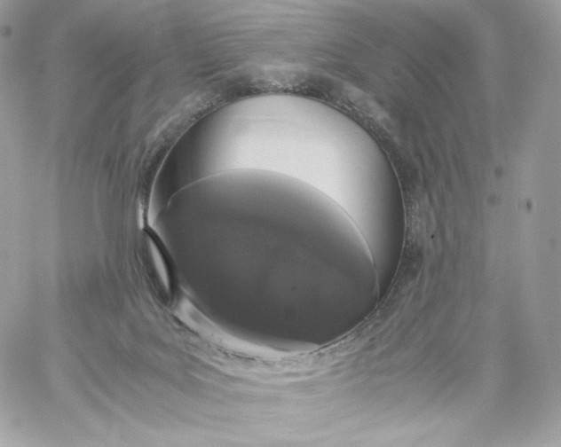 X0000060260027200511112033