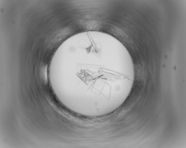 X0000060260028200511112033