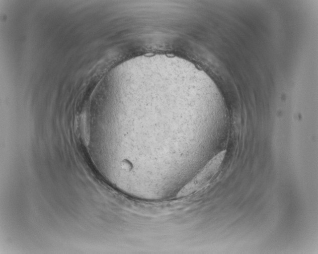 X0000060260029200511112033