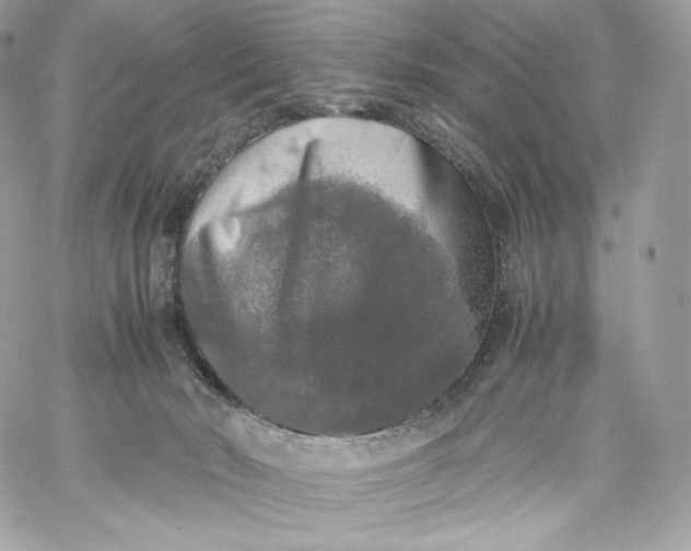 X0000060260030200511112033