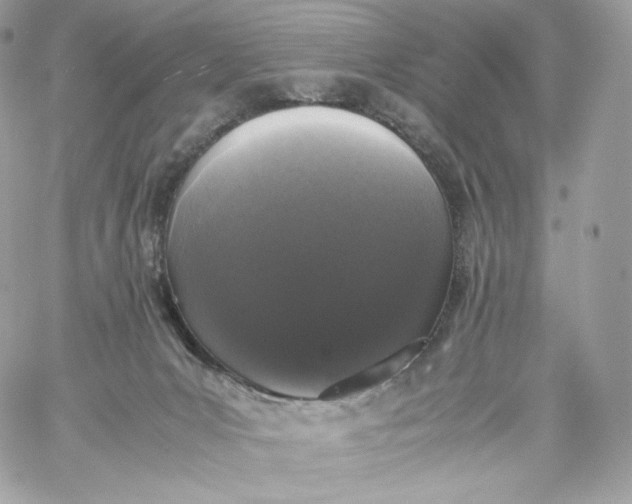 X0000060260031200511112033