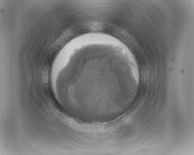 X0000060260032200511112033